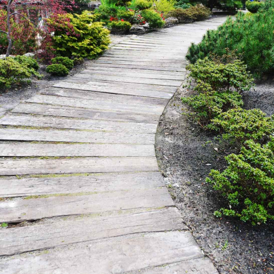 garden pathway lg sq